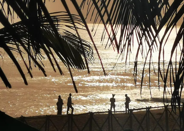 Bungalow Acces Direct Plage Privee "Plage Tropicale Chez Jack Et Regine"